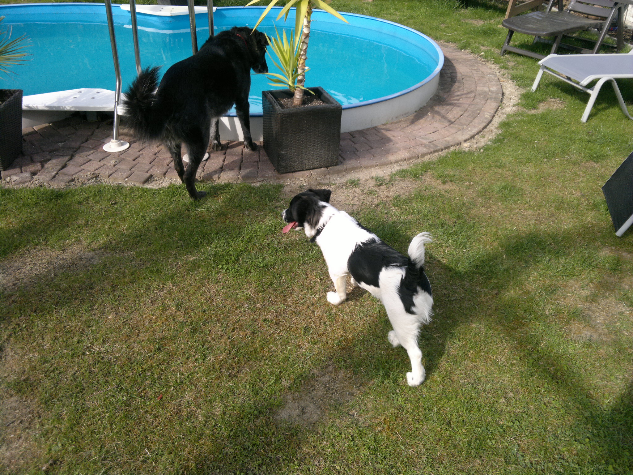 Loui, Luis' neuer Freund.jpg (2048 x 1536)